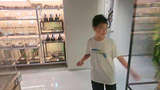 双倍亲密度 11177