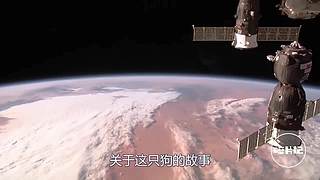 带你领略宇宙星海—碎片记
