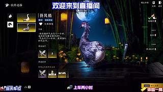 深度拆解伙伴特性，合理搭配发挥全部潜力