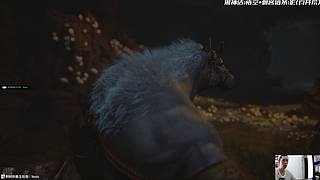 看赛博花子 积电子功德