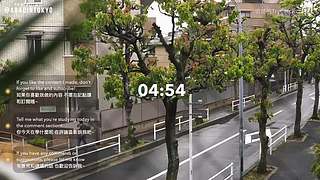 重生之奋发涂墙