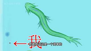 马上生日啦