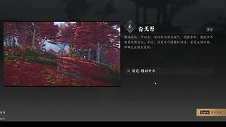 进来看看好玩