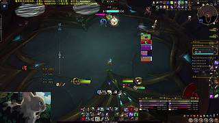 12.1 PTR 测试服玩玩