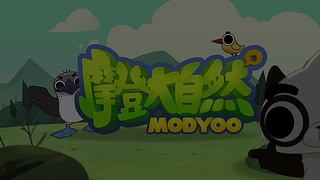 摩登大自然开播哦