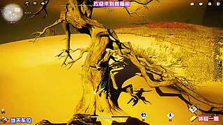 地图强弱区域对比，规划高效搜寻行进路线