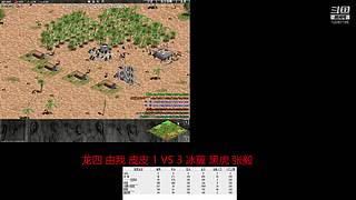 中华的直播间 12087195