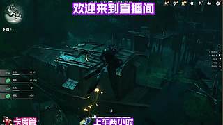穿行松谷细闻草木清新气息