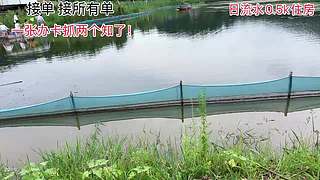 潘家沟7:30和茶茶抓螃蟹