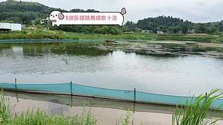 进来看新造型12834123