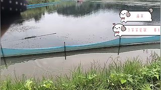 恭喜吧唧哥荣升超凡至尊 12858601