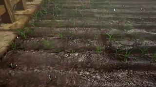 失眠症福音~~~~~~~~~~~