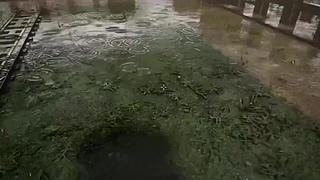 失眠症福音~~~~~~~~~~~