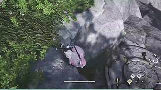 进来看看好玩