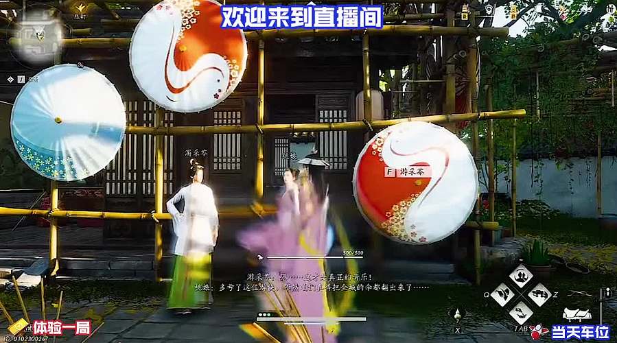 漫步莲池细看池中粉莲盛放