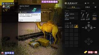 停驻桑田细看蚕农打理桑枝