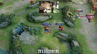 王者茶哥的直播间