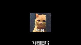 王者茶哥的直播间