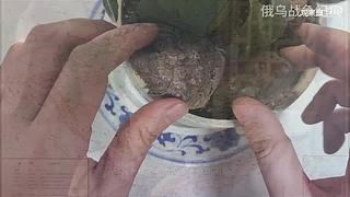 喜欢我的视频或想和我玩，请关注，打赏我哟