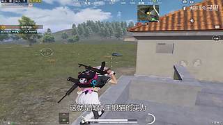 月殿玉兔直播间