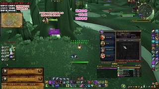 PVP 继续冲单排第一