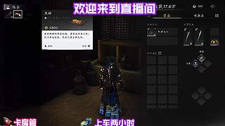 穿行松谷细闻草木清新气息