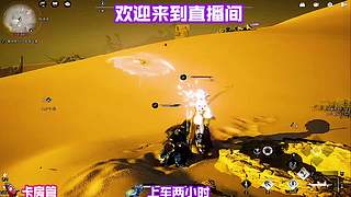 穿行松谷细闻草木清新气息