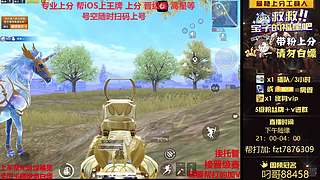 【ios帮打晋级赛/上分】