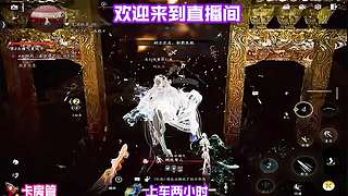 穿行松谷细闻草木清新气息