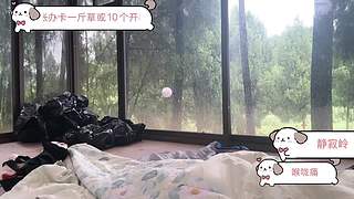 潘家沟茶妹-1&nbsp;：00手工