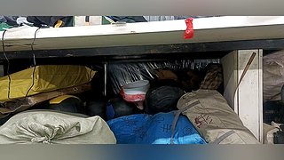 进来看新造型12834123