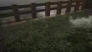失眠症福音~~~~~~~~~~~