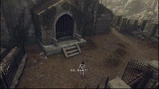 播个王阿姨的DLC
