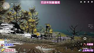 当前版本通用强势阵容，多段位均可直接使用