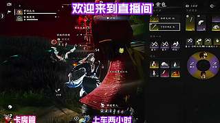 穿行松谷细闻草木清新气息