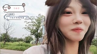 助力我奶上大学