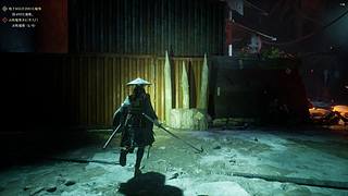 游戏名：新游：轮回之兽