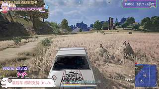 【有位】封号斗罗碗小碗~~~