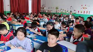 公益直播课 6558313