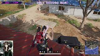 鸡洲瓦三修/全天有位