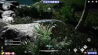 冷门奇珍组合开发，出奇制胜克制主流队伍