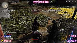 当前版本通用强势阵容，多段位均可直接使用