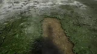 失眠症福音~~~~~~~~~~~