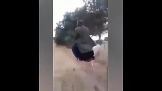 【亚巴拉辛巴】搞笑+游戏