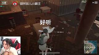 宝藏UP追更季