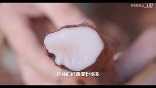 娱乐大于一切 10440627