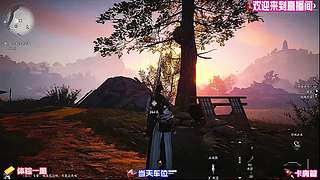 踏遍郊原偷学各路独门拳脚
