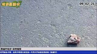三台锤子轮播