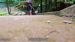 越南小哥的丛林生活