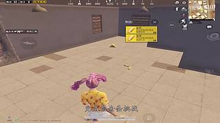 月殿玉兔直播间